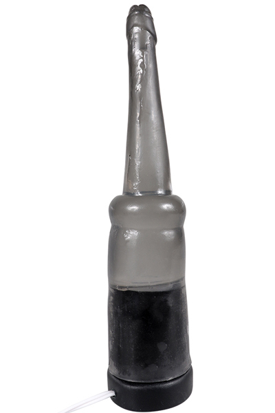 yPSPO~ʌž҂͌@`NCLăzgɂłˁI@iubNjllP_聄